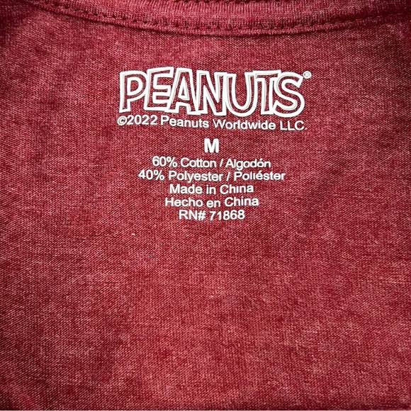 Charlie Brown Peanuts Its The Great Pumpkin Halloween Fall Pop Culture T Shirt M - Picture 4 of 4